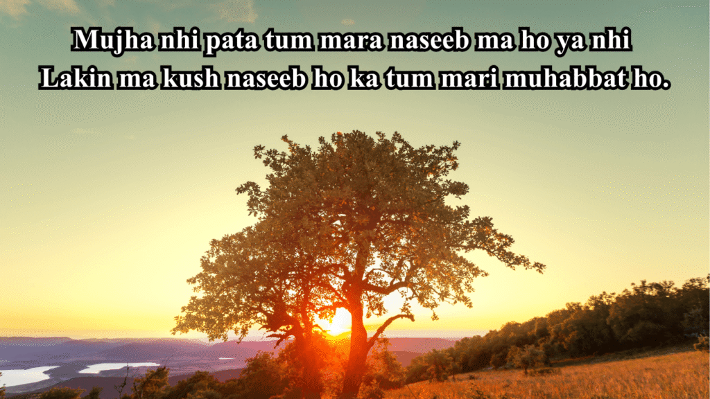 2 line sad shayari for love