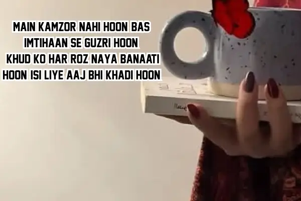 motivational-shayari-in-hindi-attitude