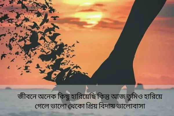 Love Emotinal Breakup shayari in bengali